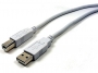 USB AM-BM 10FT